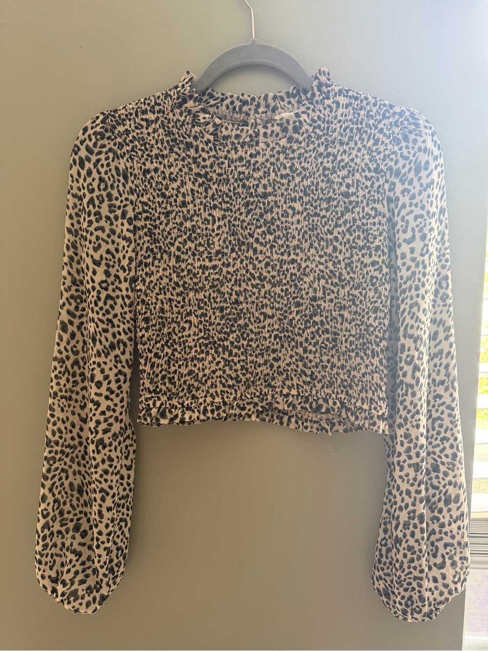ILLA ILLA Beige and Black Leopard Smocked Long-Sleeve Crop Top